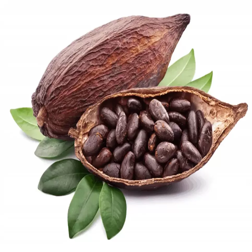 CÀ PHÊ CHOCOLATE PHIN GIẤY ĐỘC ĐÁO (kết hợp giữa Cacao và cà phê)
